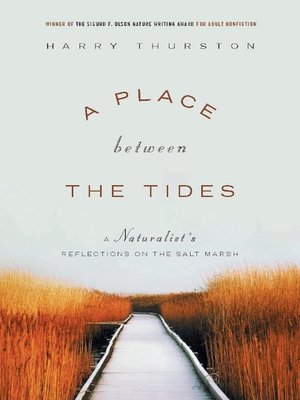 cover image of A Place Between the Tides